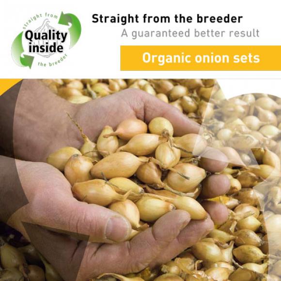 EN English Organic Onion sets