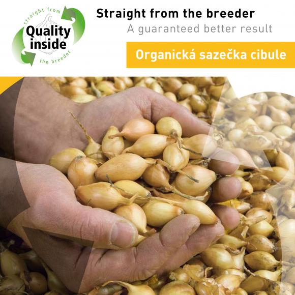 CZ Czech onion sets organic