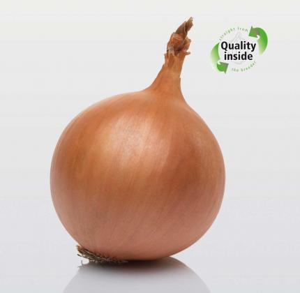 Hysky (Organic)