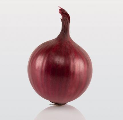 Redlander